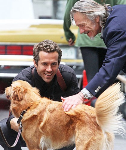 20 Luckiest Rescue Dogs Owned By Hollywood’s Celebrities – Rescue Dog ...